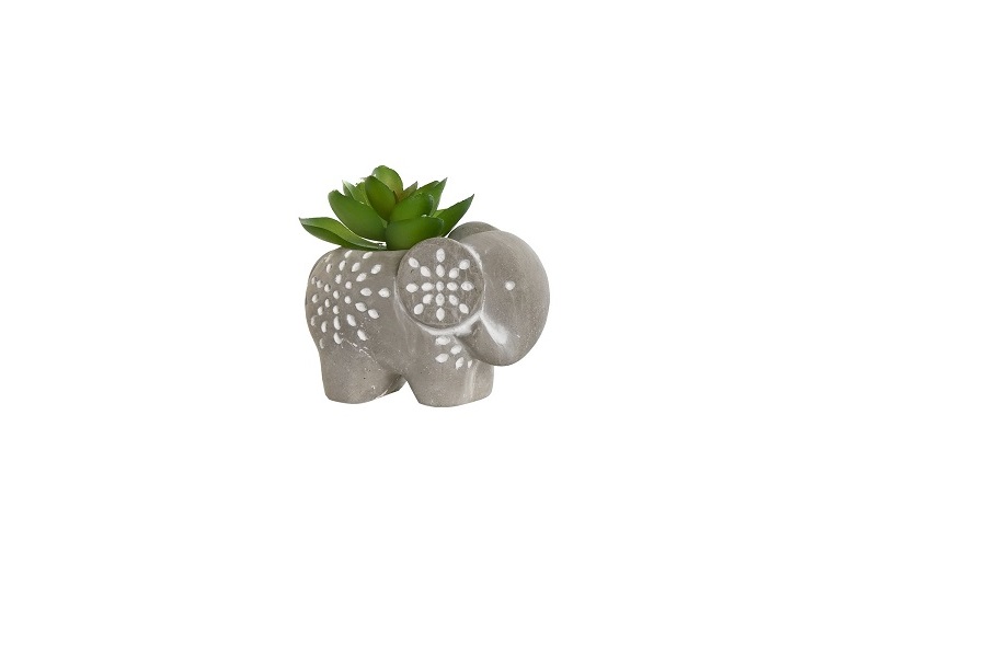 PLANTA CEMENTO PE 8X5X7 ELEFANTE